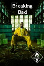 Breaking Bad Season 5 (2012)